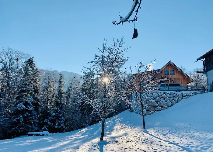 Bergheimat Bad Goisern